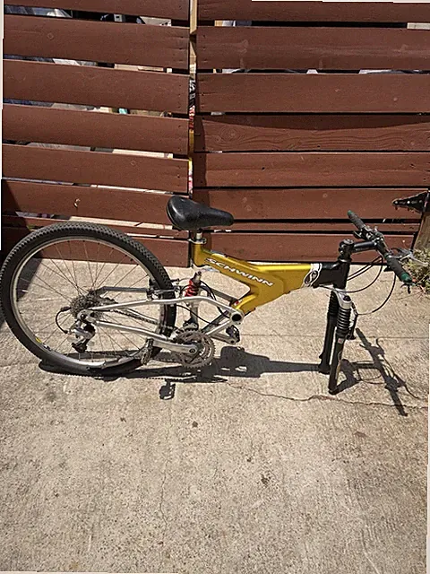 1999 Schwinn S20 Frame Carbon Fiber Mountain Bike