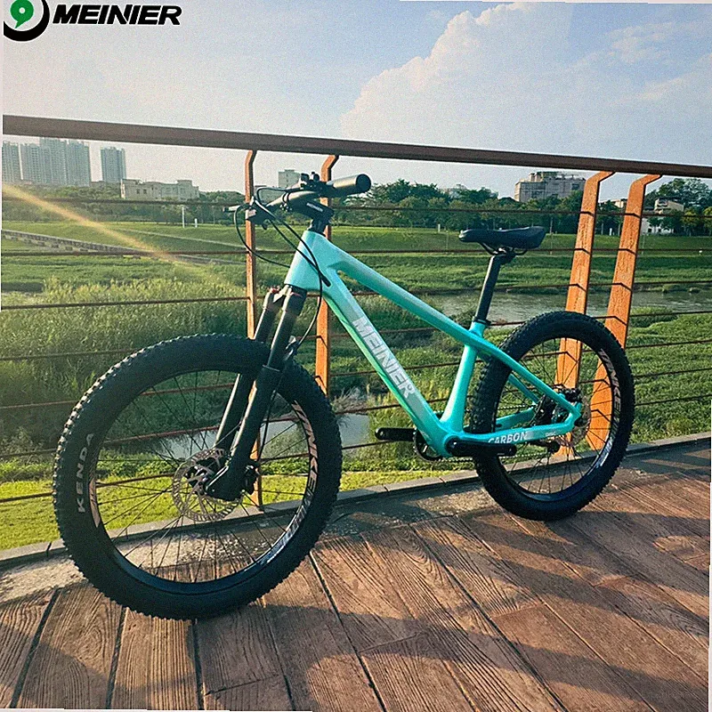 24 inch Kids Carbon Complete Mountain Bike Children's Bikes Carbon Child's Bike