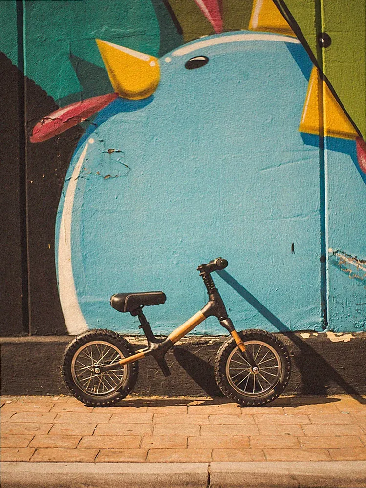 Bamboocycles 12" bamboo & carbon fiber kids bike Bicinino