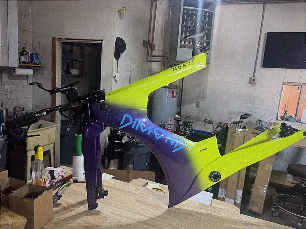 Dimond Mogul Carbon Fiber Bike Frame Size II