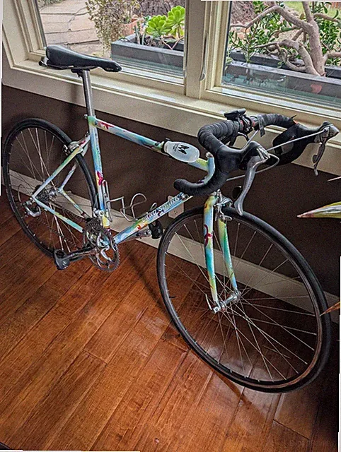 Land Shark steel road bike. Custom. Pick up only.